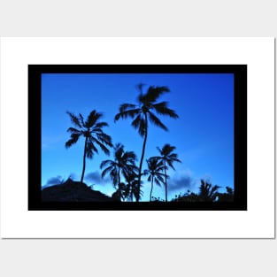 Hawaiian coconut trees Posters and Art